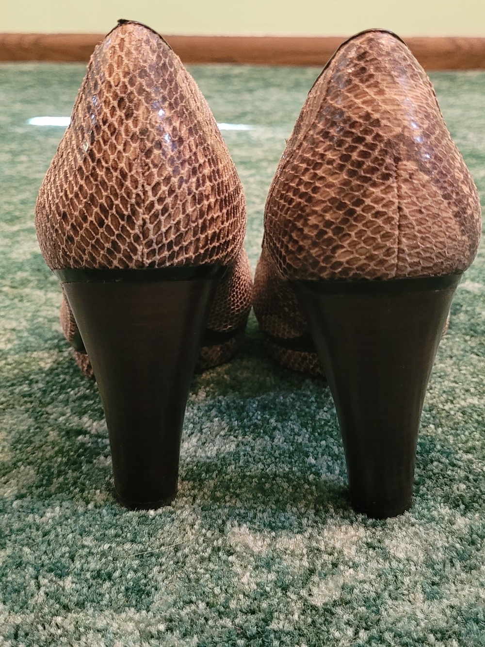 NWT Snake-Print Sofft Leather Pump - Picture 7 of 9
